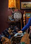 Mo Amer: The Vagabond Poster 6