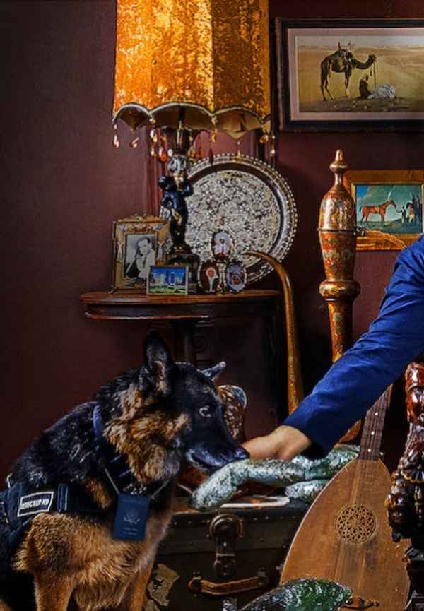 Mo Amer: The Vagabond Poster 6