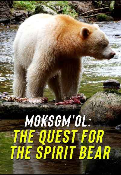 Moksgm'ol : The Quest For The Spirit Bear