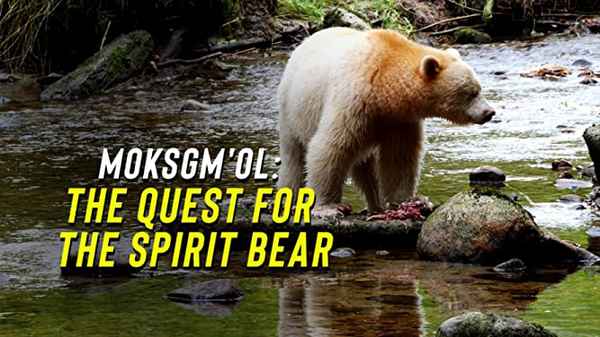 Moksgm'ol : The Quest For The Spirit Bear Poster 2