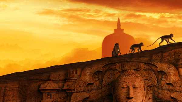 Monkey Kingdom Poster 7