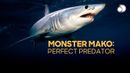 Monster Mako: Perfect Predator Poster 5