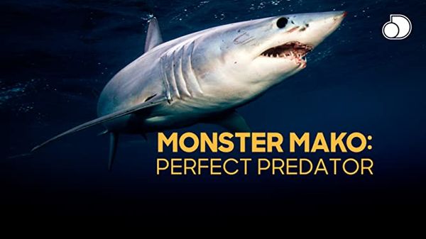 Monster Mako: Perfect Predator Poster 5