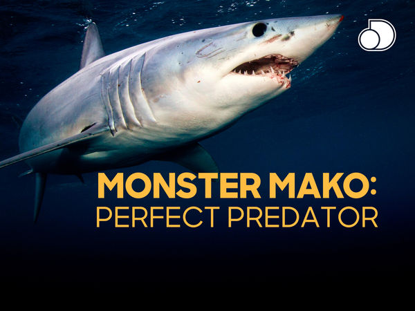 Monster Mako: Perfect Predator Poster 4