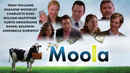 Moola Poster 1