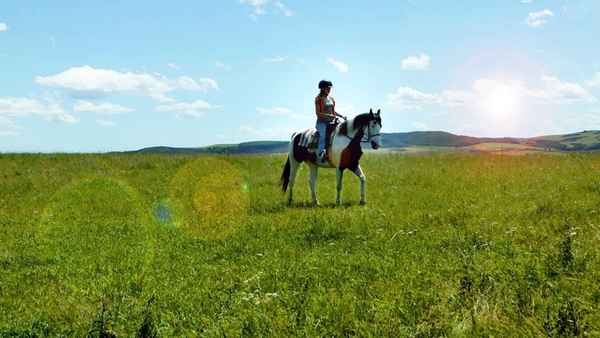 Moondance Alexander Poster 4