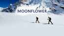 Moonflower Poster 3