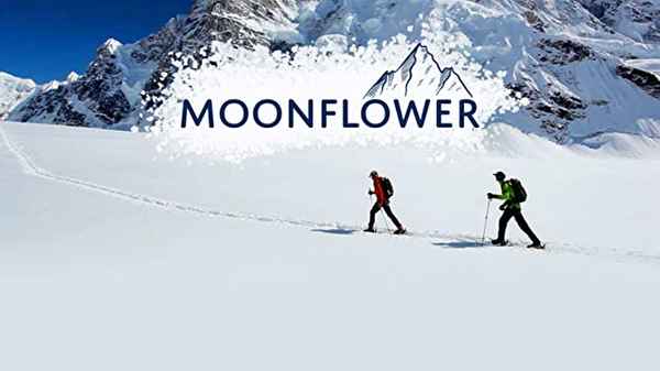 Moonflower Poster 3
