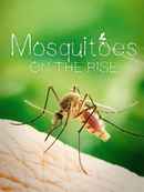 Mosquitoes on the rise Poster 2