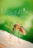 Mosquitoes on the rise Poster 4