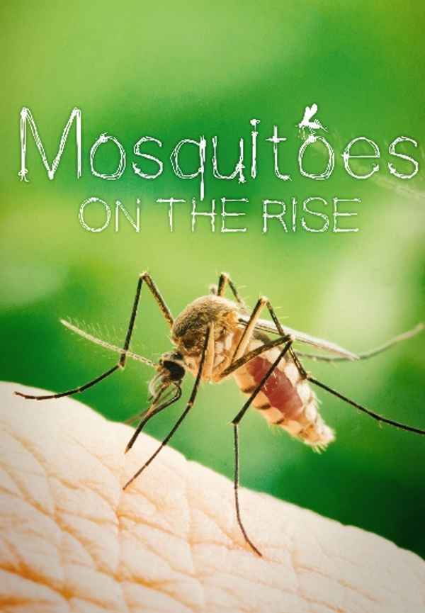 Mosquitoes on the rise Poster 4