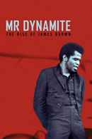 Mr. Dynamite - The Rise of James Brown Poster 5