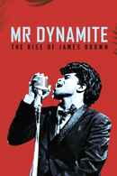 Mr. Dynamite - The Rise of James Brown Poster 2