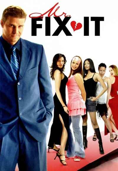 Mr. Fix It