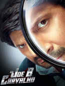 Mr Joe B. Carvalho Poster 4