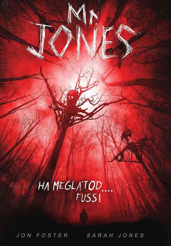 Mr. Jones Poster 4