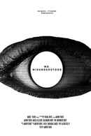 Mr. Misunderstood Poster 2