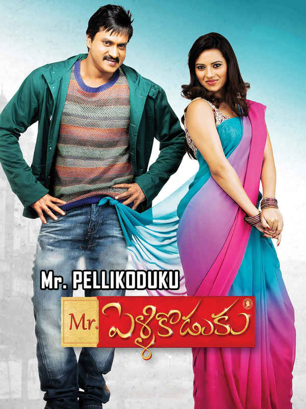 Mr. Pellikoduku Poster 2