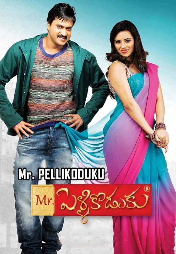 Mr. Pellikoduku Poster 6