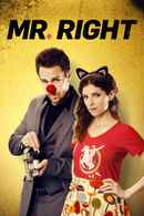 Mr. Right Poster 7