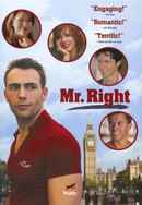 Mr. Right Poster 4