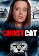 Mrs. Ashboro's Cat Poster 4