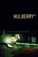 Mulberry Street Poster 6