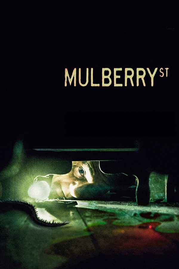 Mulberry Street Poster 6