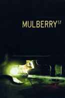Mulberry Street Poster 7