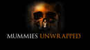 Mummies Unwrapped Poster 4