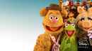Muppets Now Poster 5