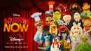 Muppets Now Poster 7