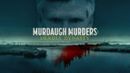 Murdaugh Murders: Deadly Dynasty Poster 7