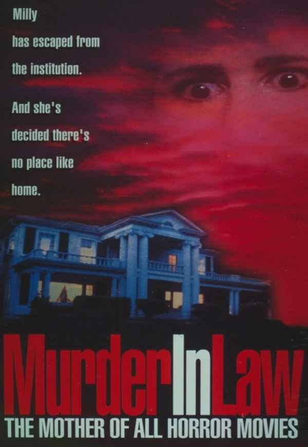 Murder in Law Poster 2