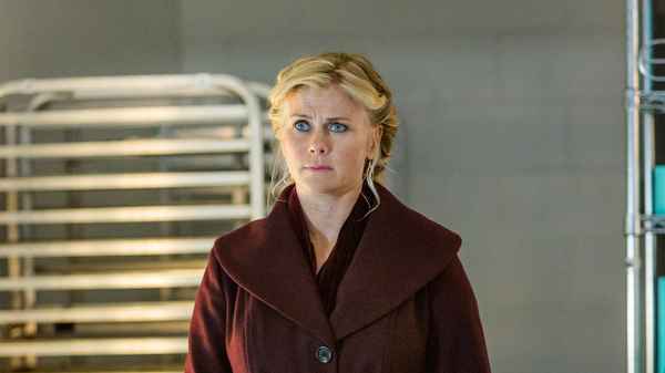 Murder, She Baked: A Peach Cobbler Mystery Poster 7