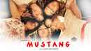 Mustang Poster 4