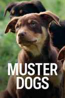 Muster Dogs Poster 1
