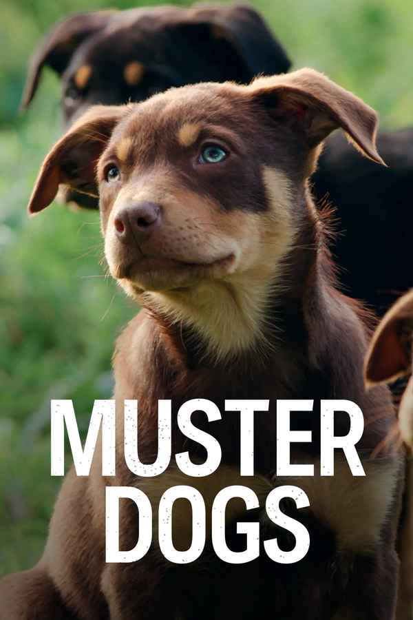 Muster Dogs Poster 1