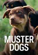 Muster Dogs Poster 4