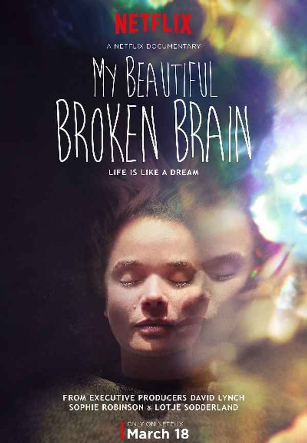 My Beautiful Broken Brain Poster 4
