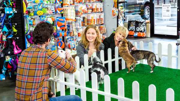 My Boyfriends' Dogs Poster 6