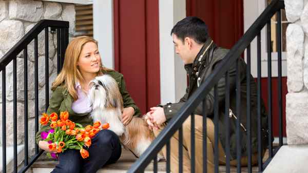 My Boyfriends' Dogs Poster 7