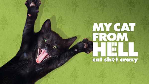 My Cat from Hell Poster 5
