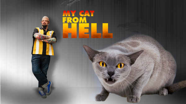 My Cat from Hell Poster 4