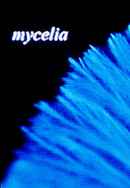 mycelia Poster 2