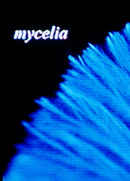 mycelia Poster 1