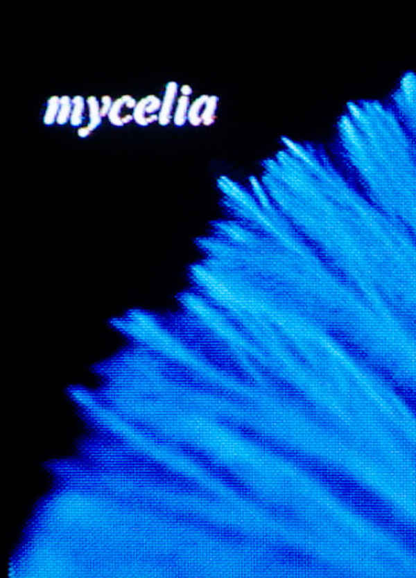 mycelia Poster 1