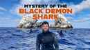 Mystery of the Black Demon Shark Poster 5