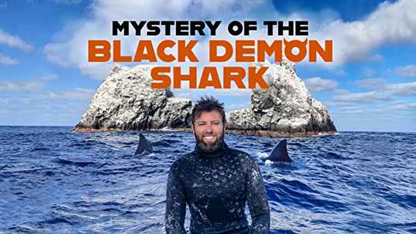 Mystery of the Black Demon Shark Poster 5