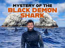 Mystery of the Black Demon Shark Poster 4